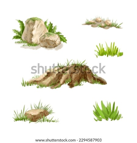 Cute environmental elements among which grass, stump, stone overgrown with moss jpeg clipart set on a white background, Summer plant digital file greenery watercolor illustration