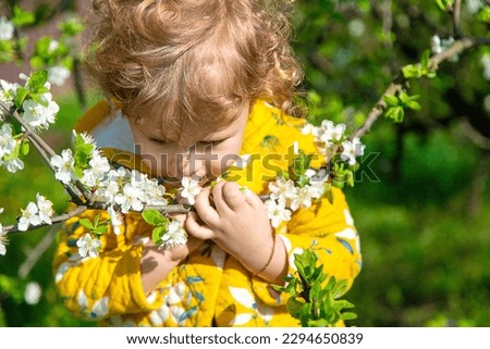 A child in the garden sniffs a blossoming spring tree. Selective focus. Kid.