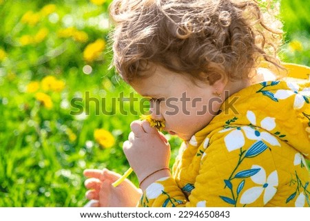 A child in the garden sniffs blooming dandelions in spring. Selective focus. Nature.