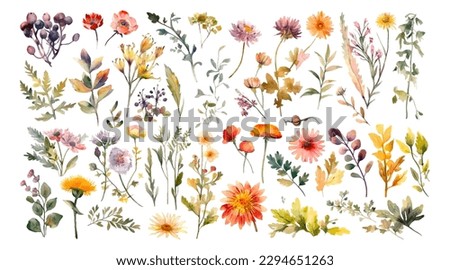 Set watercolor wild flowers, leaves and grass. Collection botanic garden elements. Vector isolated illustration in vintage style Royalty-Free Stock Photo #2294651263