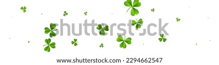 Olive color Clover Summer Vector White Panoramic Background. Spring Foliage Isolated Backdrop. Fly Shamrock Pattern. Green Leaves Wind Wallpaper.