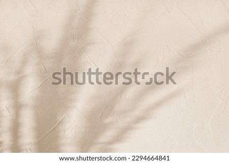 Elegant floral sun light shadow silhouette of meadow grass on a beige textured wall, summer rustic neutral background, copy space