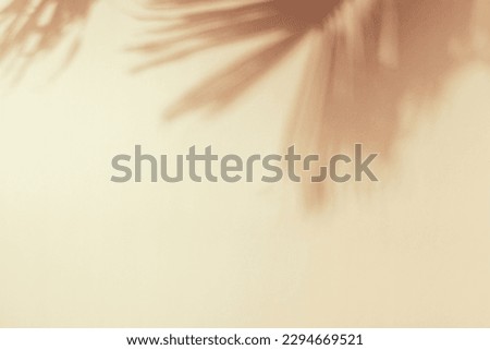 Palm leaf shadow on a beige wall. Minimal summer exotic concept with copy space