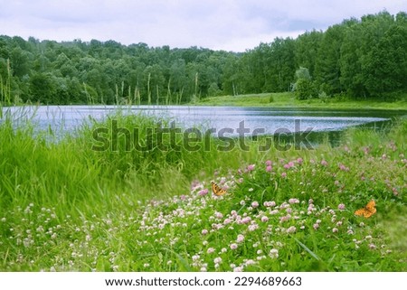 landscape with wildflowers on meadow, river and forest, natural abstract background. beautiful harmony peaceful nature image. spring summer season. template for design. copy space
