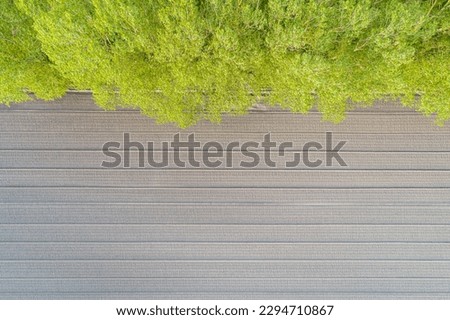 aerial overhead drone view of a plowed crop field and some trees, spring concept