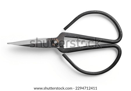 pair of traditional Japanese forged iron bonsai scissors isolated over a white background, craft, art or floristry design element, top view, flat lay Royalty-Free Stock Photo #2294712411