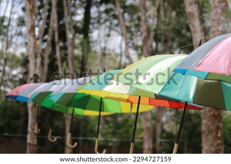 Colorful umbrellas in the tourist area of ​​the umbrella park. decoration of colorful umbrellas