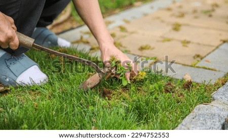 Gardening tools like trowels, spades, and shovels are essential for yard work, pulling weeds, and garden maintenance. Symbolizing hard work, creativity, and environmental stewardship Royalty-Free Stock Photo #2294752553
