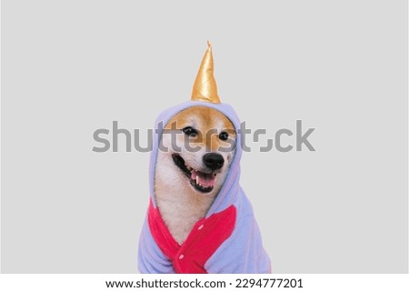 Shiba Inu dog wearing custome in background
