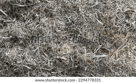close up texture of rice straw angle flat lay