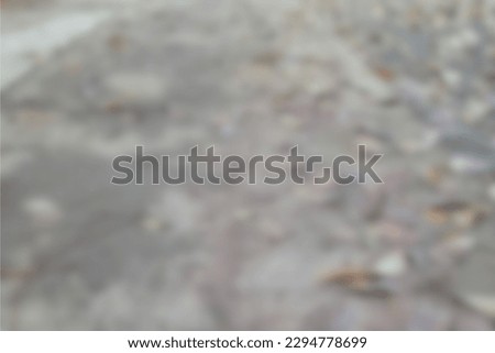 Blurred photo of dry leaves on the street in autumn