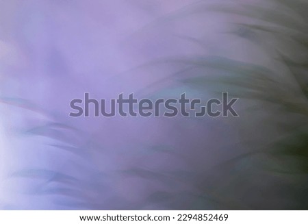 abstract blurred violet, purple and green background