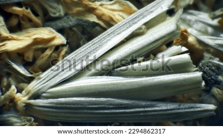 Herb repertory (dry vulnerary plants), officinal mixture for herbal tea. Pharmacy daisy (Matricaria chamomilla) dried parts (extreme close up) as means of folk medicine, pharmacy