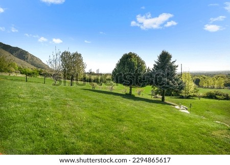 landscape with green grass and sky