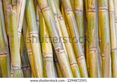 Close-up on a stack of sugarcane for sale on a market stall.