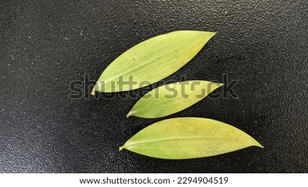 Image of colorful dried leaves on black background.Macro photo.close to object.