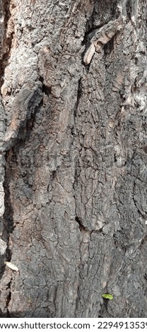 Bark tree relief background texture Royalty-Free Stock Photo #2294913539