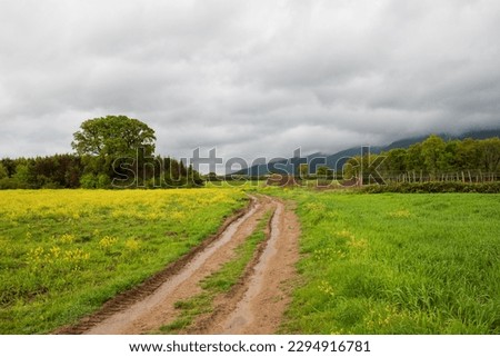 dirt road first spring cloudy sky