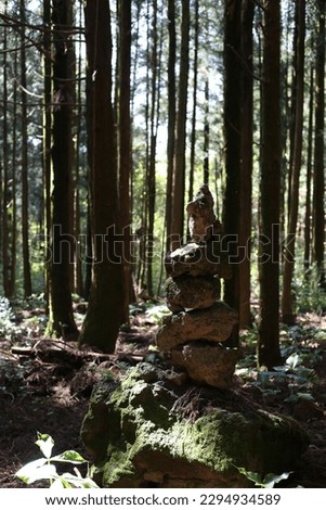 forest
landscape
summer
stone statue
gren
