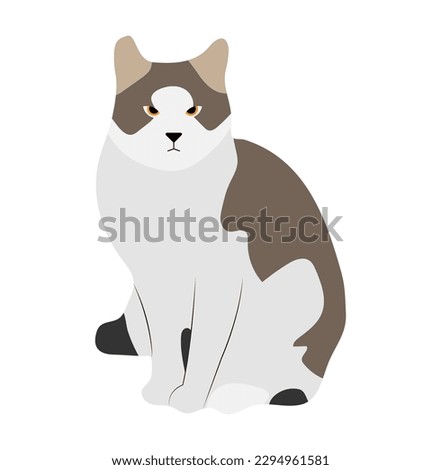 Cat vector image or clipart