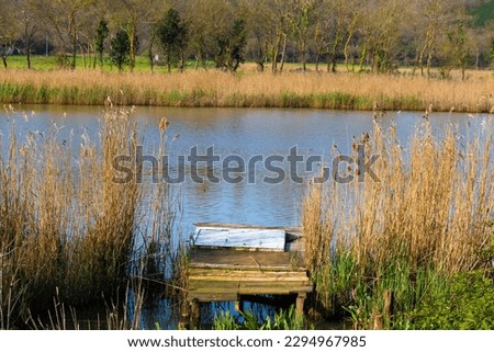 Horizontal landscape photo. Old wooden pier on the river bank. Yellowed trees forest. Blue sky. No people, nobody. Life in nature idea concept. Peace, quiet, calm.