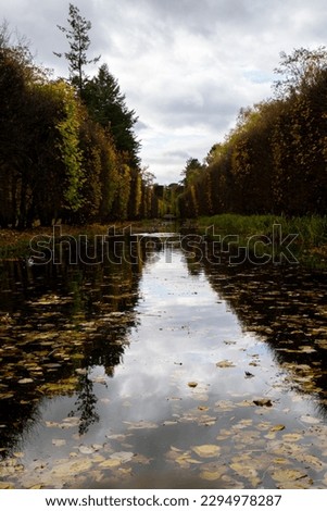 Autumn leaves float on the surface of the water. Fallen autumnal leaves on surface of lake. Nature's landscape Fallen orange leaf is sailing on water level