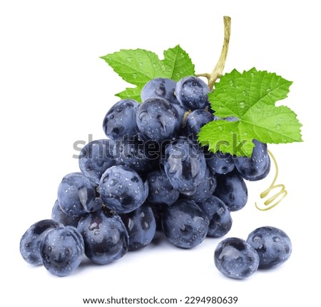 Grapes isolated. A bunch of ripe blue grapes with leaves in water drops on a white background. Royalty-Free Stock Photo #2294980639