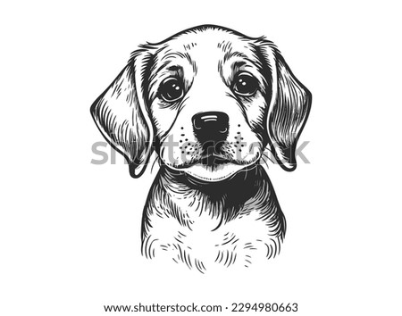 Dog, puppy hand drawn line style vector illustration isolated on white background