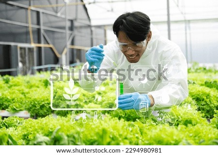 Researcher in white uniform are checking with ph strips in hydroponic farm and pH level scale graphic, science laboratory greenhouse concept.  with VR icom