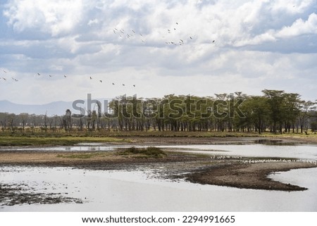 Wildlife in Nakuru National Park, Kenya