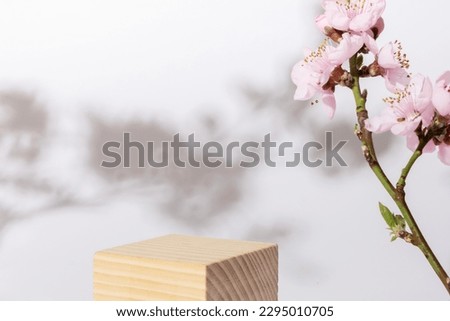Podium or pedestal from wooden decorated with cherry blossom twigs. Cosmetic mock up.