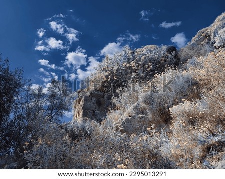 infrared photography with beautiful shots of nature in an area of ​​Greece 