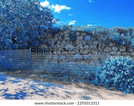 infrared photography with beautiful shots of nature in an area of ​​Greece 