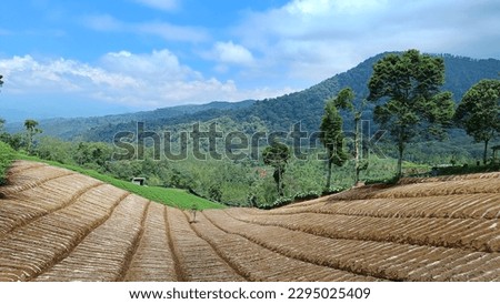 Landscape vegetable agriculture  with unique planting patterns at the foot of the mountain and blue sky background.