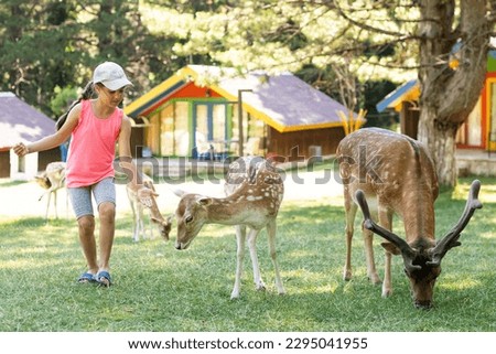 Exciting experience. Cute little girl watching and stroking young dappled deer with food while spending great time with her family in zoo. National Park. Animals Royalty-Free Stock Photo #2295041955