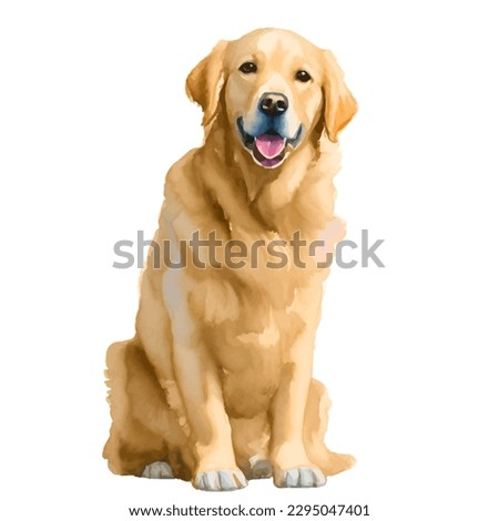 golden retriever with style hand drawn watercolor digital painting illustration