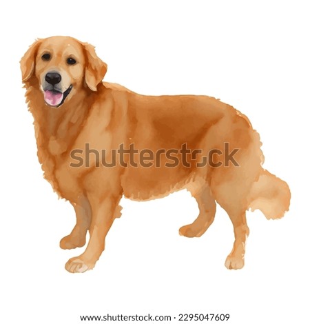 golden retriever with style hand drawn watercolor digital painting illustration