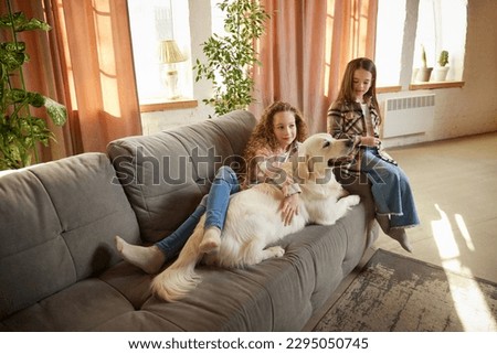 Little school age girl playing with beloved pet, golden retriver at home interior, inddors. Children look happy and cheerful. Concept of friendship, family, care, animal. Dog looks groomed Royalty-Free Stock Photo #2295050745