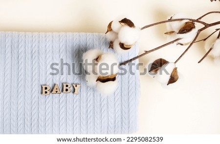 new born baby infant clothes,white bodysuit and booties knitted pattern on blanket with cotton dry branch.word baby and it's a boy.safe organic textile.ultrasound picture of fetus over clothes. blue