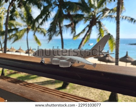 Airplane on the background of palm trees sea or ocean concept