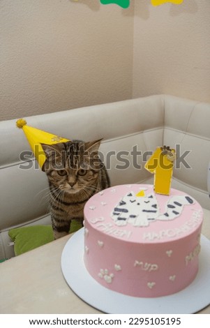 a cat in a party hat, a cake for a cat and balloons, the inscription on the cake "Happy birthday"