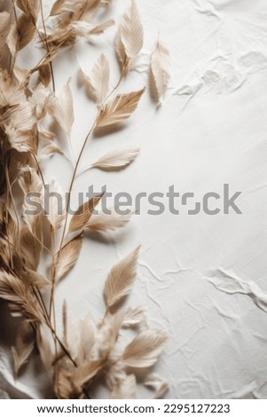 Rustic Boho Minimal Neutral Aesthetic Background Paper Paint Texture White Neutral Beige Calm Backdrop Social Media or Banners