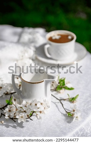 White milk jug close-up on a table in a spring garden. Flowering garden, blossoming tree branches Spring mood. Spring still life composition. good morning concept