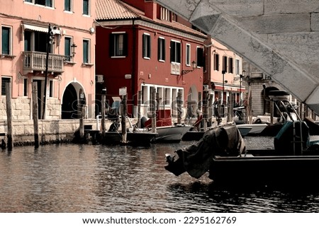 a picture from the city of Chioggia