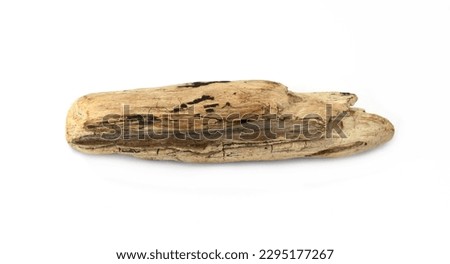 Piece of driftwood isolated on white background. Decorative bogwood.