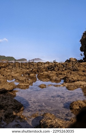 The Low Tide of the Shore