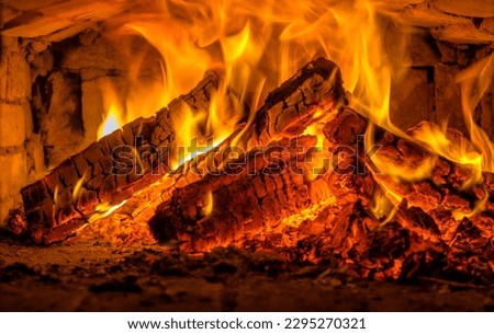 A few birch logs burning in the fireplace
