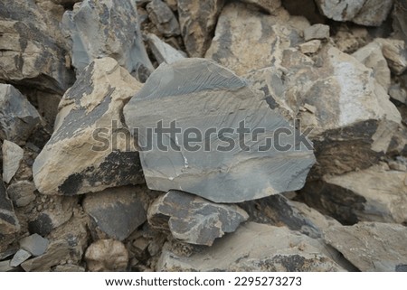 natural gray shale clastic sedimentary rock. Royalty-Free Stock Photo #2295273273