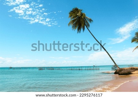 Boipeba beach - State of Bahia - Brazil