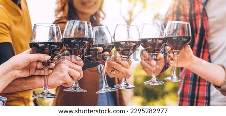Six red wine glasses touching in a horizontal photo, symbolizing a multiracial gathering in the countryside during summer, possibly a picnic or friends' reunion. Royalty-Free Stock Photo #2295282977